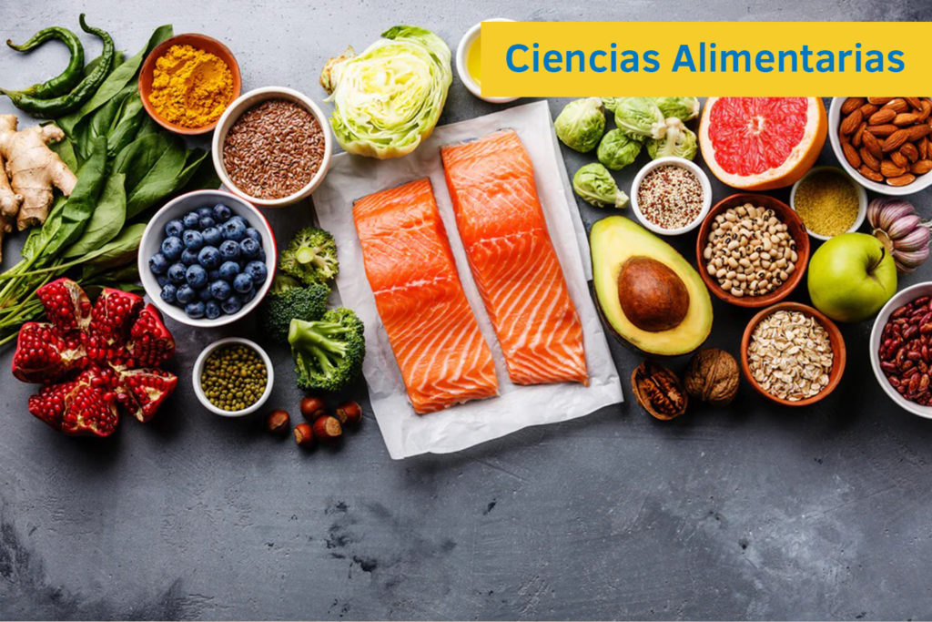 Ciencias alimentarias ICA3