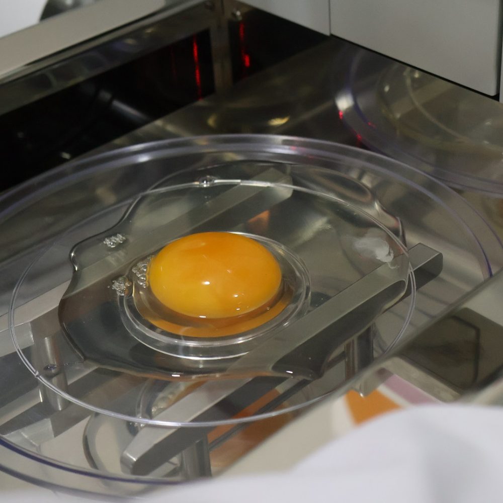 Gobierno Regional y UOH implementan laboratorio con potencial de verificar el sistema de producción de huevos de gallina