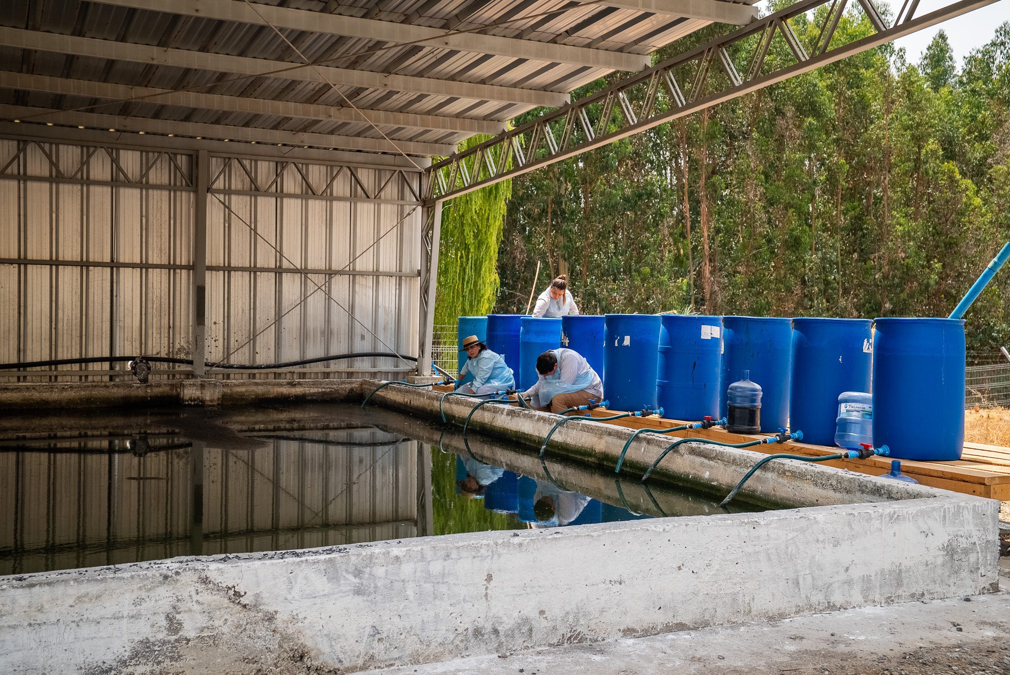 Región de O’Higgins: La Estrella convierte lodos de aguas servidas en fertilizante y reduce impactos ambientales con un piloto de estabilización