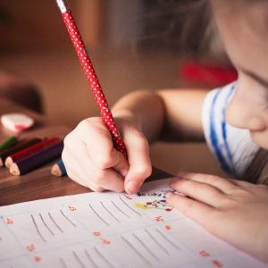 Políticas públicas y educación