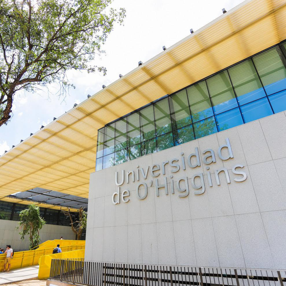 Ocho académicas/os UOH se adjudican concurso de Fomento a la Vinculación Internacional para instituciones de investigación