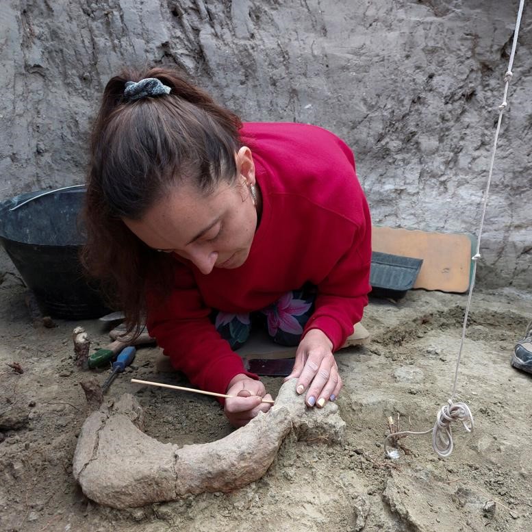 Académica reconstruirá ecosistema de hace miles de años