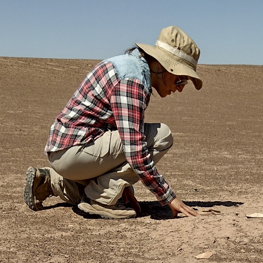 Fósiles del antepasado del perro ratifican presencia de cánidos en la Pampa del Tamarugal hace 14 mil años