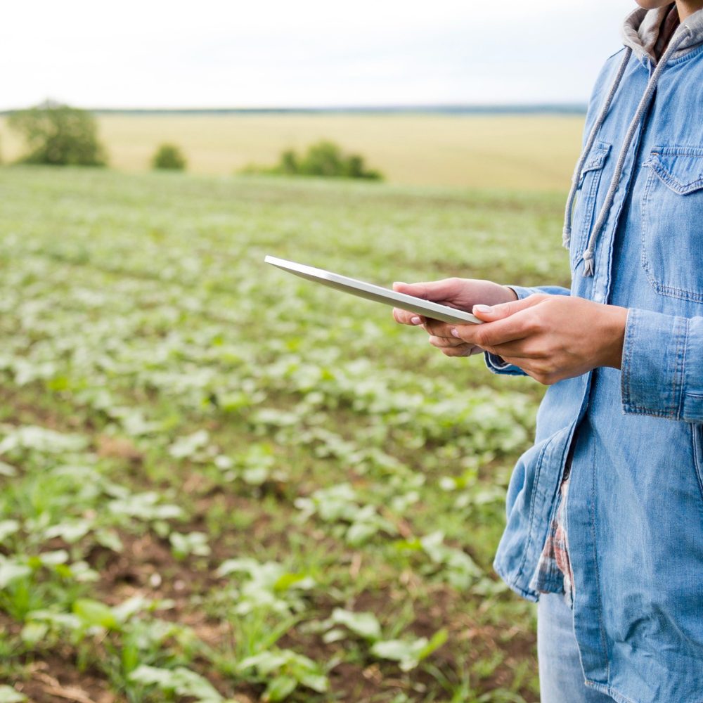 Cultivos del futuro: oportunidades y desafíos del Internet de las Cosas en la agricultura chilena