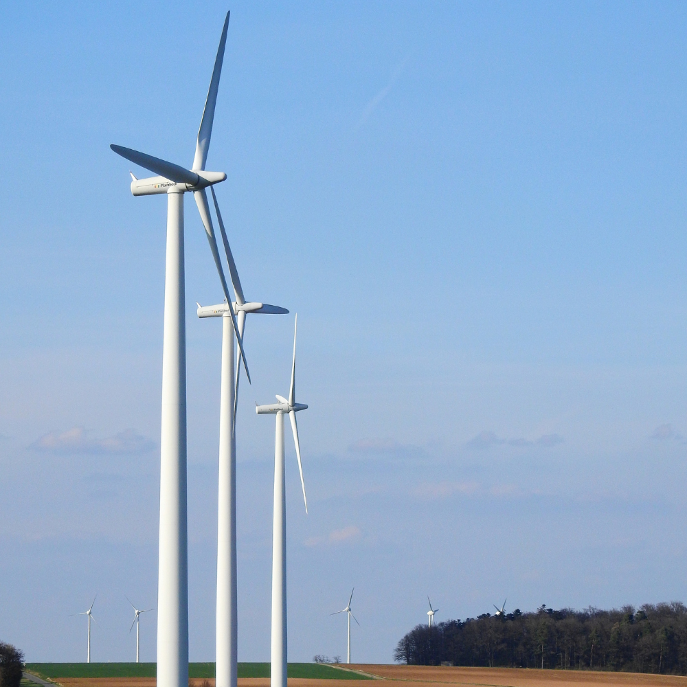 Estudio plantea que cambio a energías renovables requiere de confianza en las instituciones