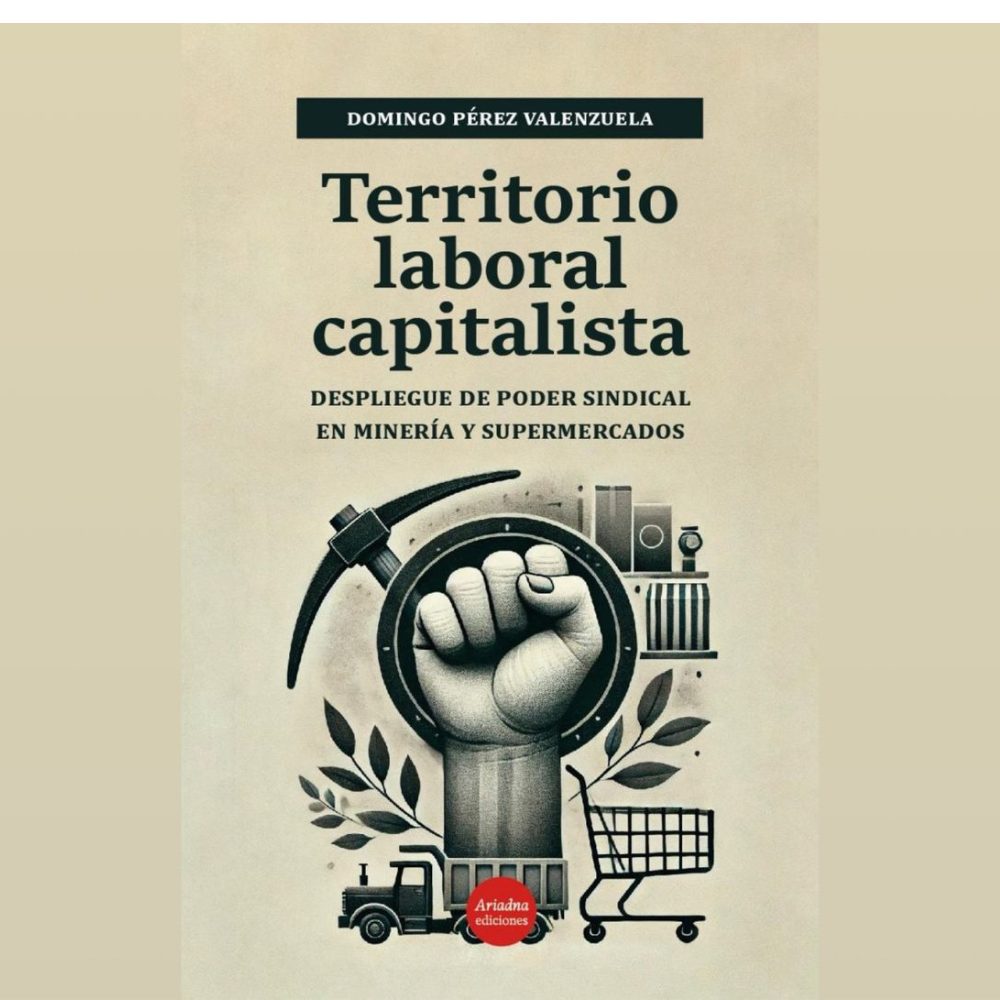 Territorio en disputa: investigador UOH publica segunda edición de libro clave en estudios laborales