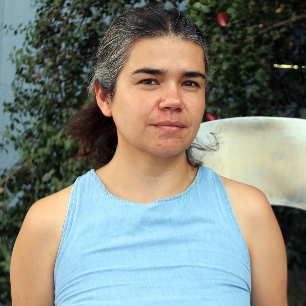 Académica UOH co-coordinará Grupo de Trabajo CLACSO 2026–2028 junto a colegas de Brasil y México