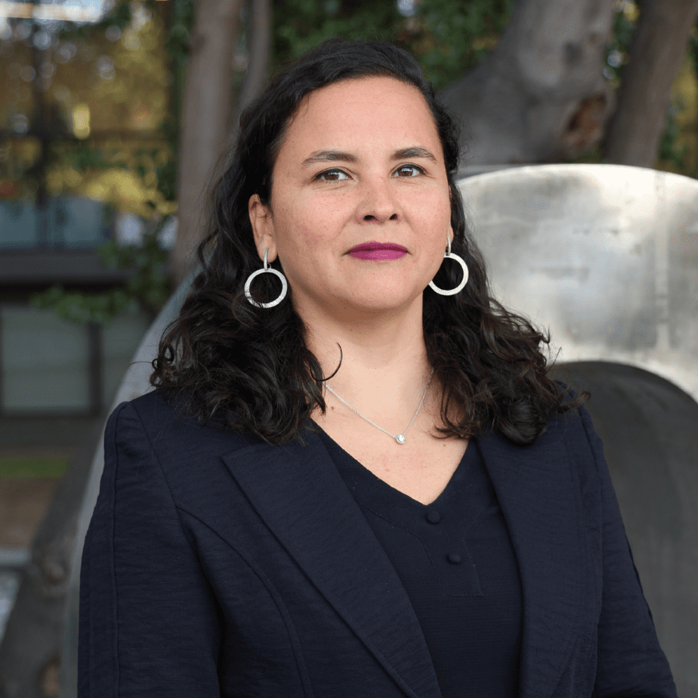 Denisse Valladares Ide