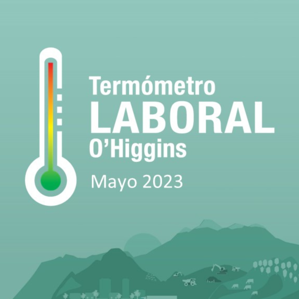 Aumentan las tasas de ocupación, informalidad y desocupación en la Región de O’Higgins