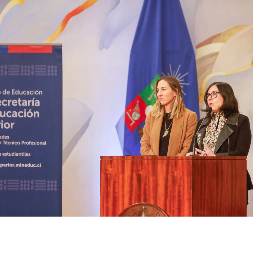 Consejo Asesor de Salud Mental en Educación Superior entrega recomendaciones para promover el bienestar de las comunidades educativas