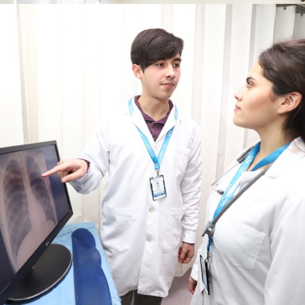 ¿Te gustaría investigar? Postula al Fondo de Investigación para estudiantes de pregrado