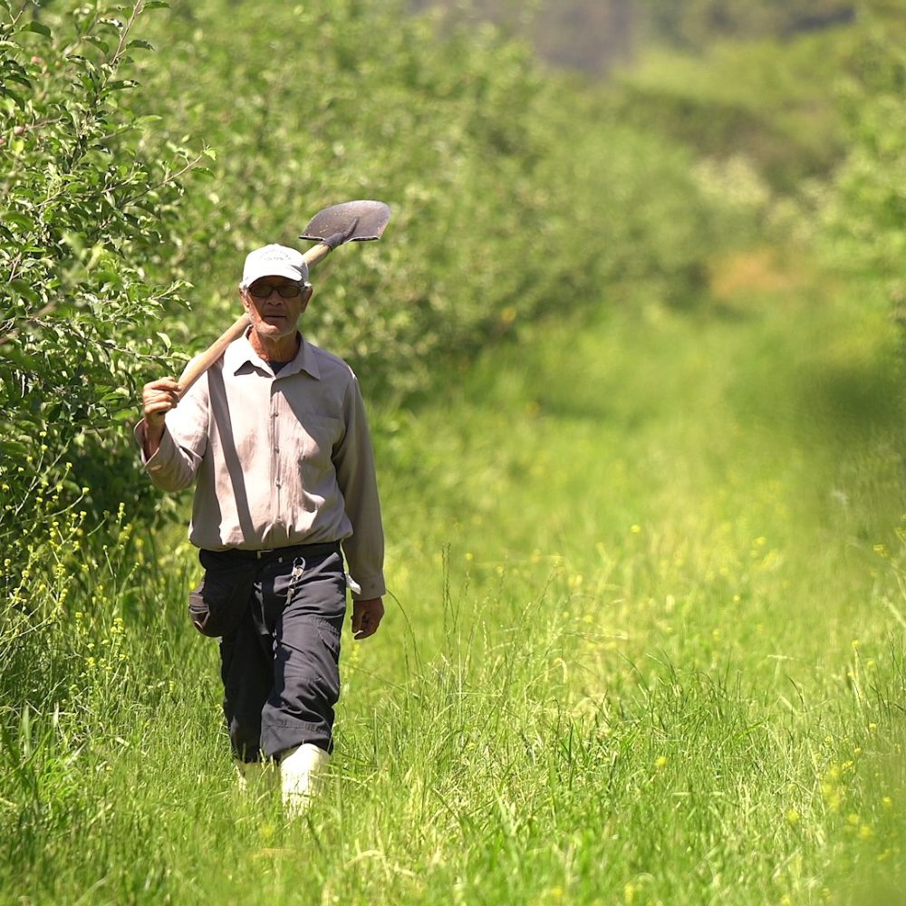 Sector agrícola concentró las contrataciones durante el 2024