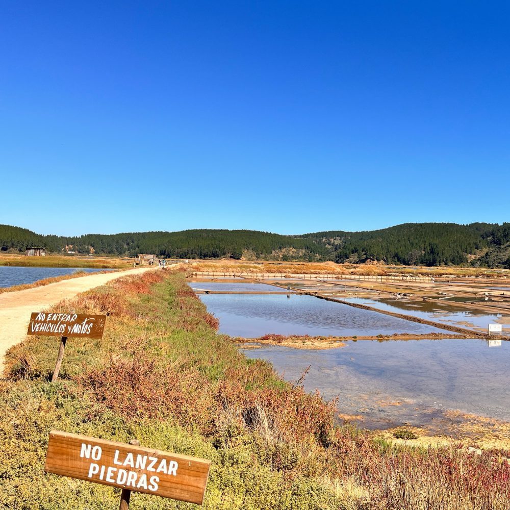 UOH se adjudica tres proyectos en el Fondo Regional de Desarrollo Productivo