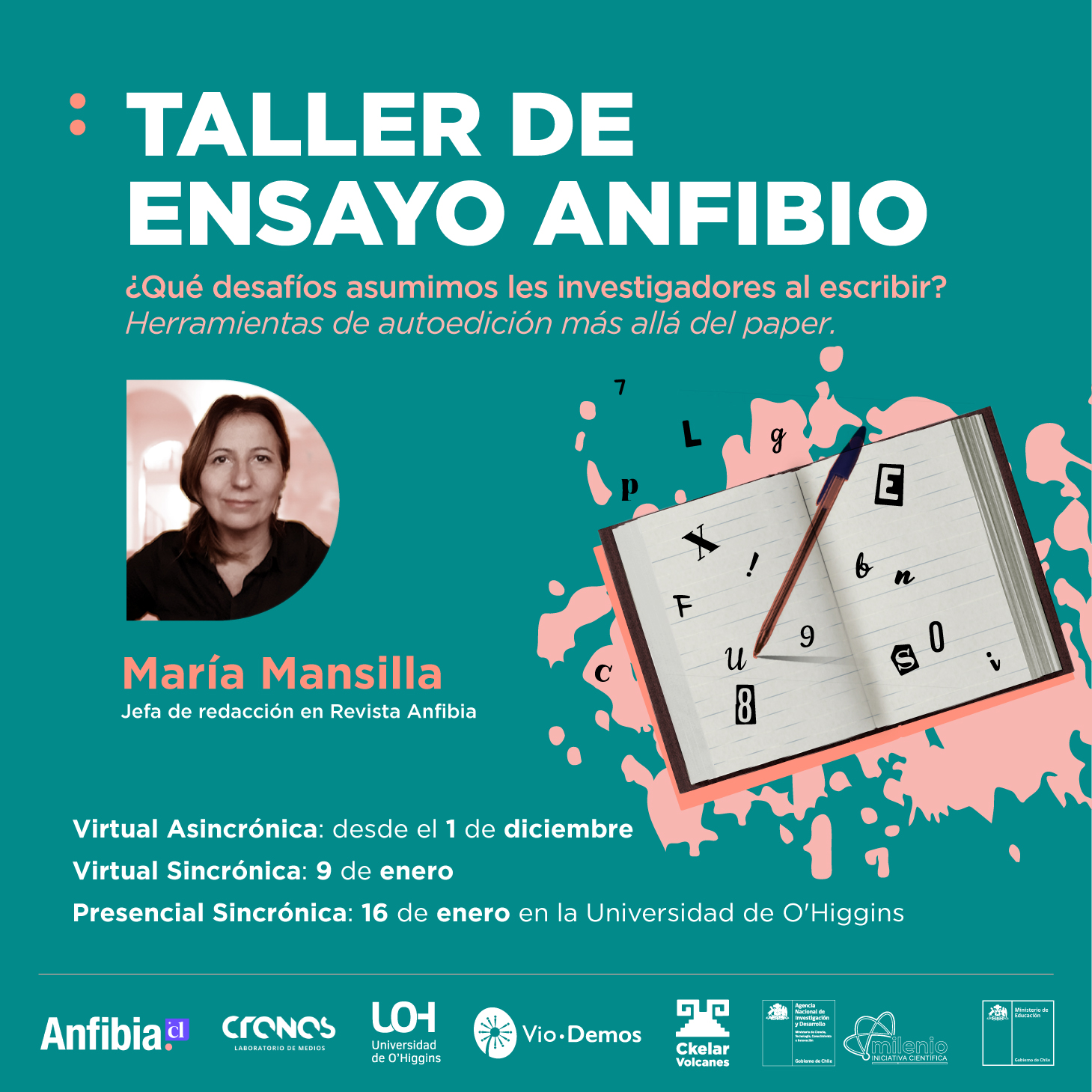 Taller de ensayo anfibio