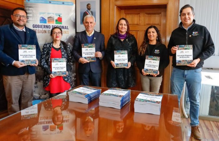 Estrategia-Regional-de-Desarrollo-2-de-3-1024x618 Estrategia-Regional-de-Desarrollo-2-de-3-1024x618