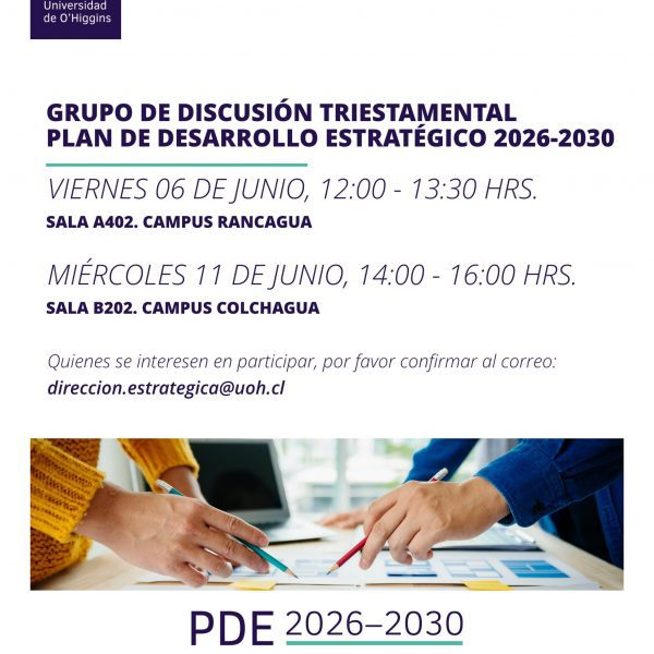 [Plan de Desarrollo Estratégico 2026-2030] Grupo de Discusión Triestamental – Campus Colchagua
