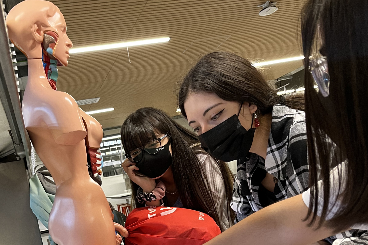 Academia de Invierno UOH mantiene abiertas sus postulaciones e invita a vivir una real experiencia universitaria