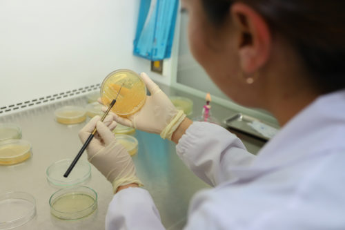 Investigación