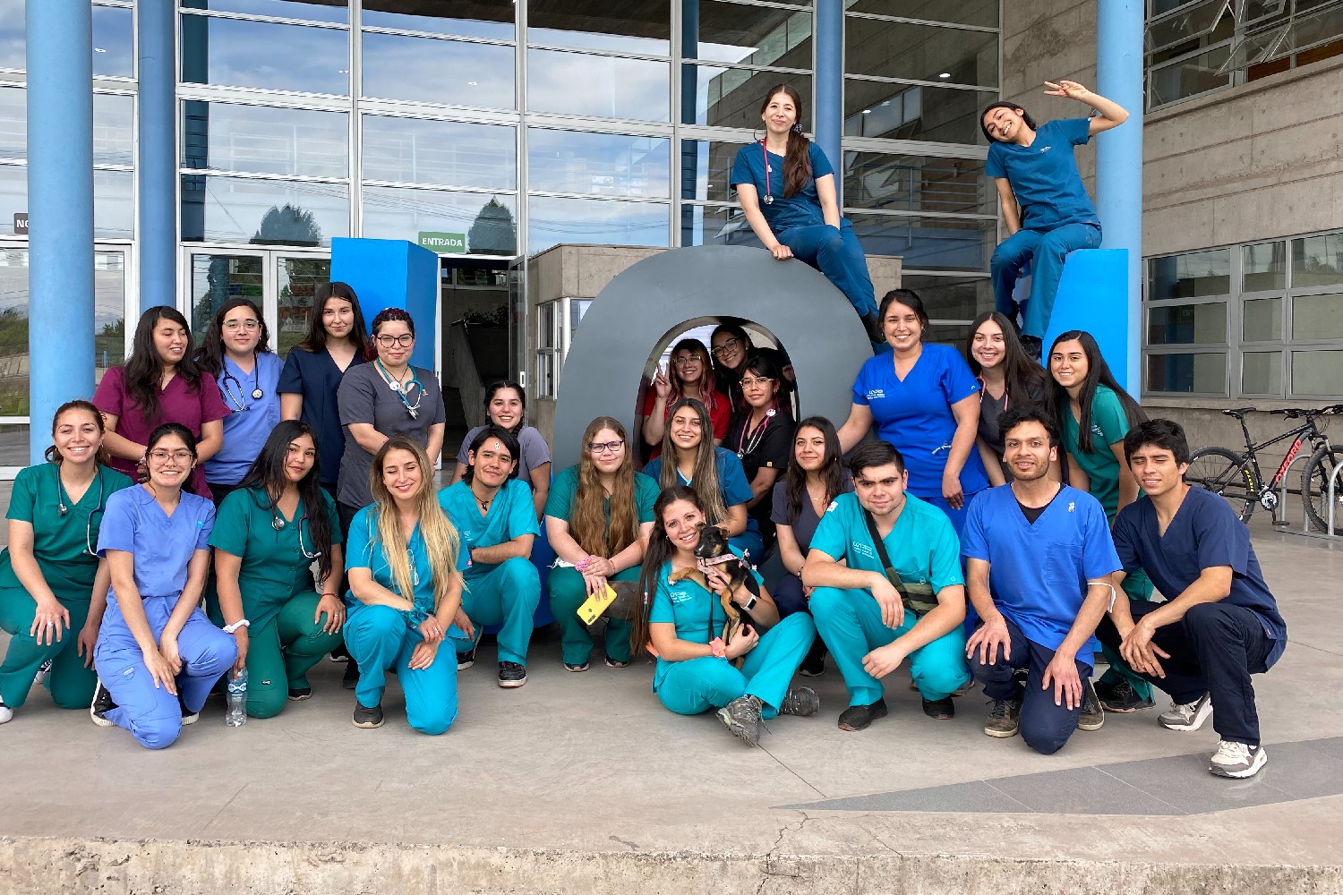 Medicina Veterinaria UOH Medicina Veterinaria UOH