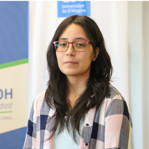 Estudiante UOH obtiene segundo lugar en ChileWic 2022