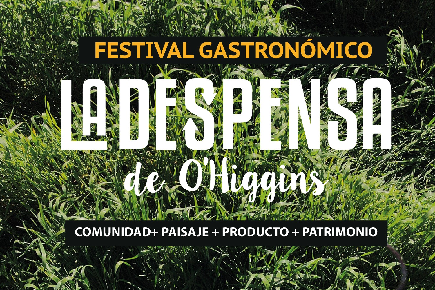 La Despensa-2 La Despensa