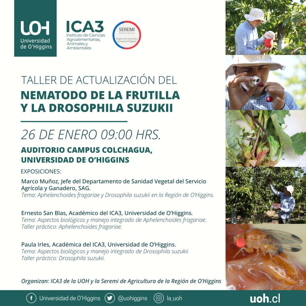ICA3 UOH