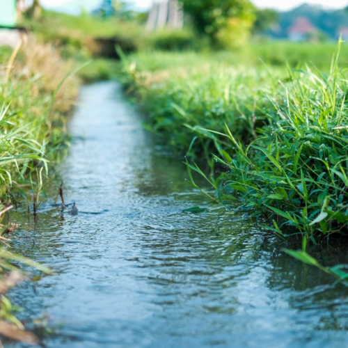 UOH: Compromiso férreo de cuidar el agua como elemento fundamental para la vida de todos