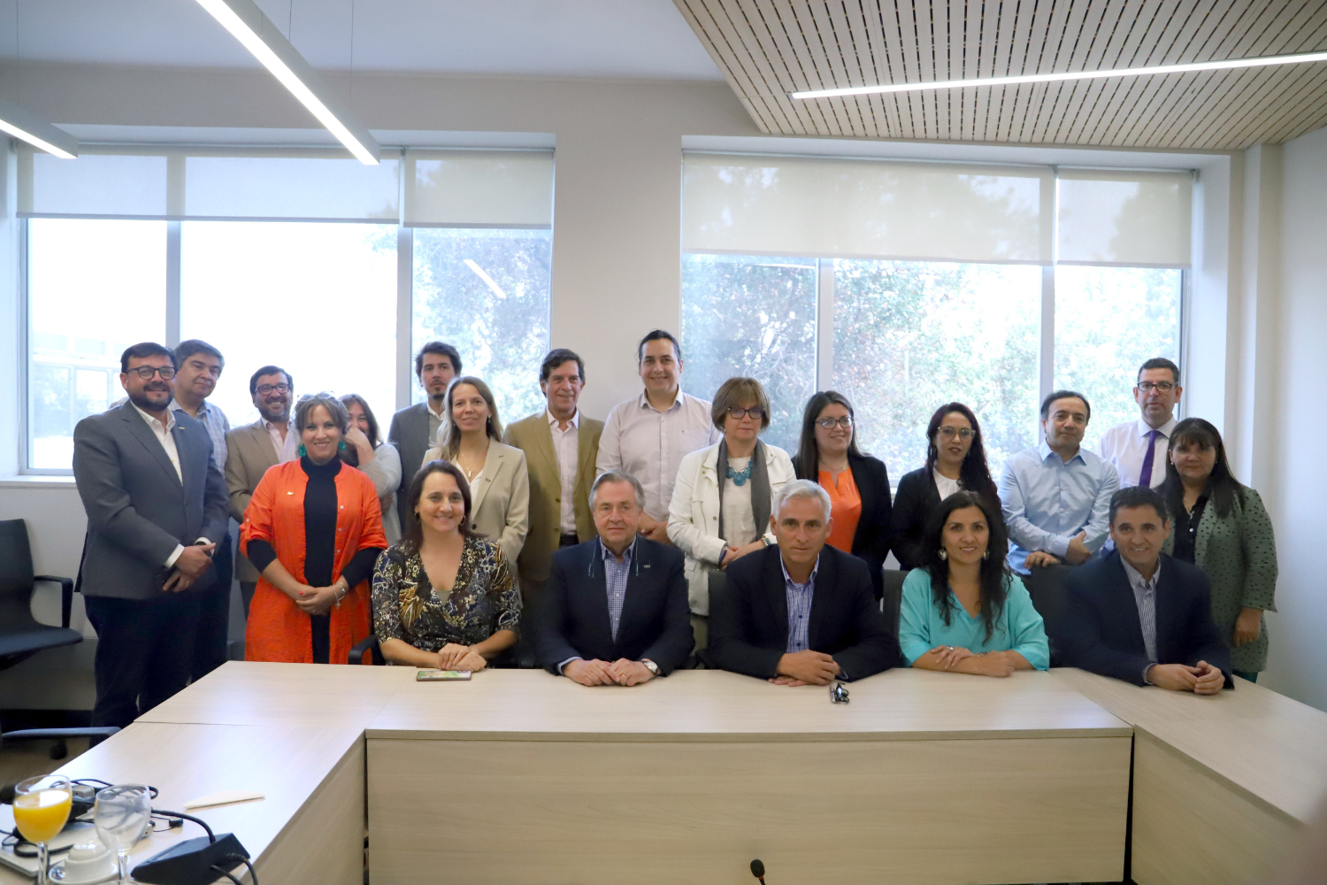 Gobierno Regional - UOH (1) Gobierno Regional y UOH