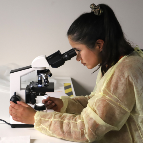 UOH fue centro del primer curso en la región sobre actualización en el diagnóstico de hemoparásitos