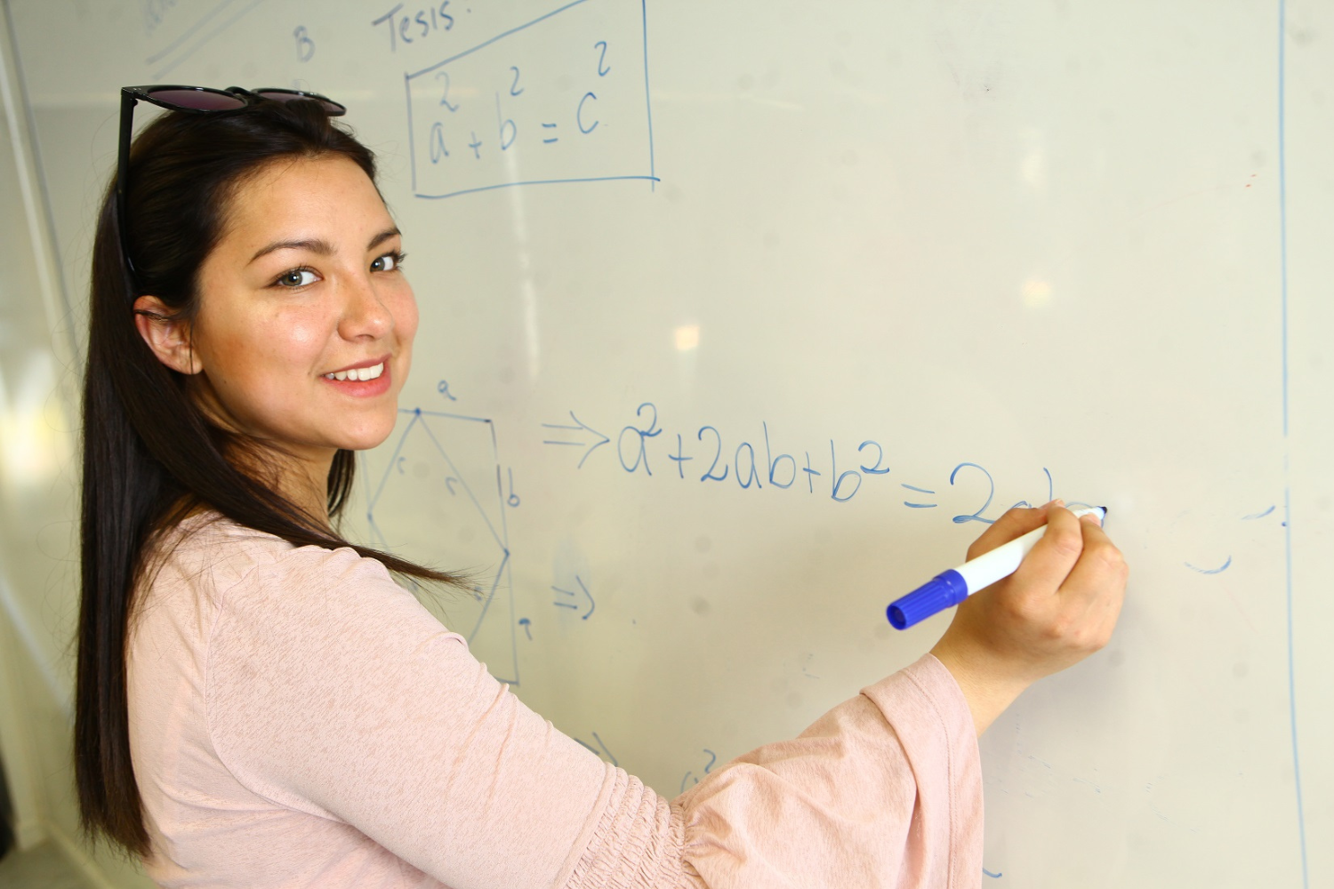 Pedagogía en Matemática Pedagogía en Matemática UOH