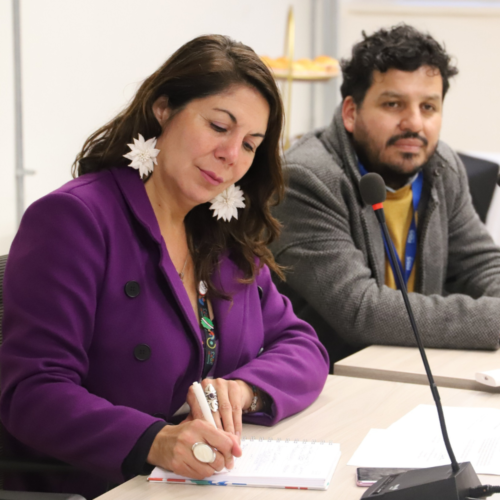 Proyecto Focos define su área de acción: Rengo, Navidad y Placilla