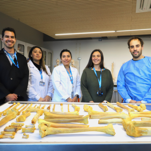 Encargados de Laboratorio de la Escuela de Salud UOH se capacitaron en anatomía y medicina legal
