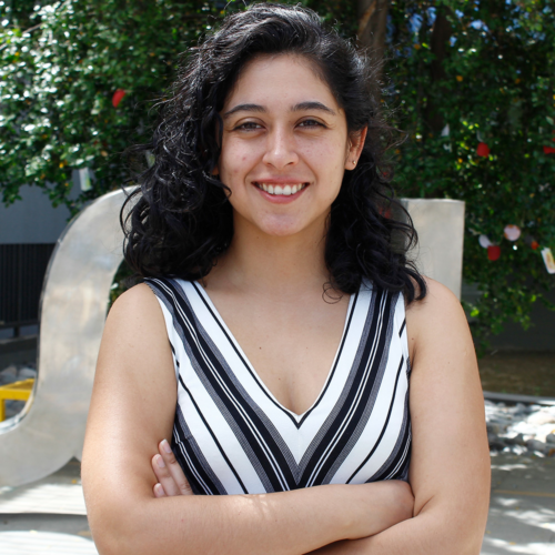 Académica ICED publicó artículo sobre la narrativa mítica de la escultura del “Negro Matapacos”