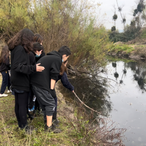 Recorrido científico por humedal de Pichidegua se convierte en toda una aventura para comunidad educativa local