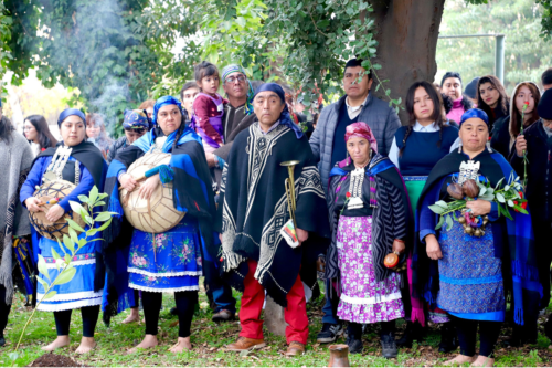 Programa de visitas culturales