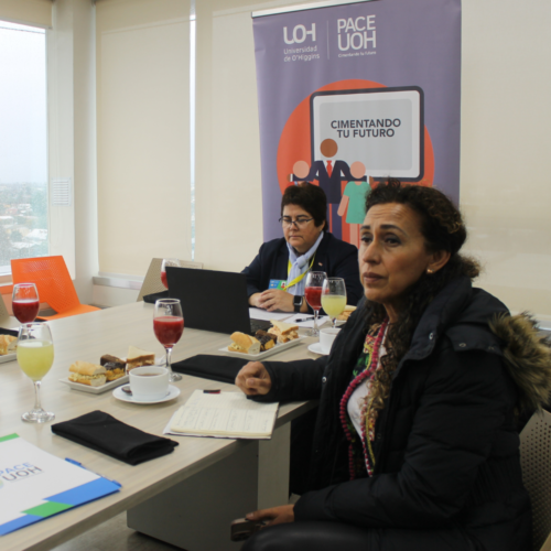 PACE UOH desarrolló Jornada de Orientadores/as con énfasis en emprendimiento y actualización sobre estudiantes migrantes