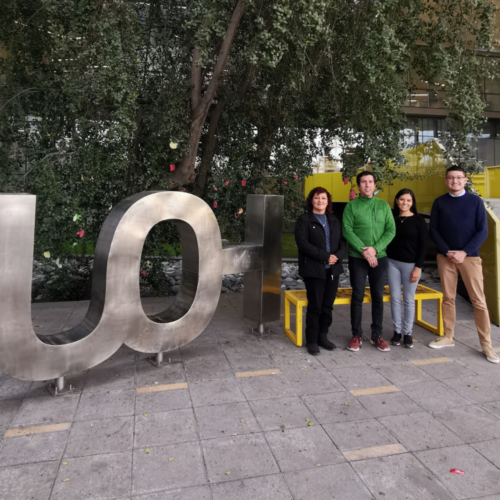 Académicas de la Universidad de Guanajuato conocieron líneas de investigación del Instituto de Ciencias de la Salud UOH