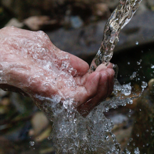 El agua: elemento esencial para la vida en la Tierra