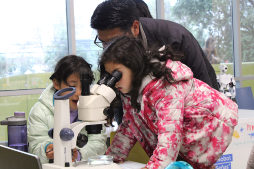 Festival de las Ciencias