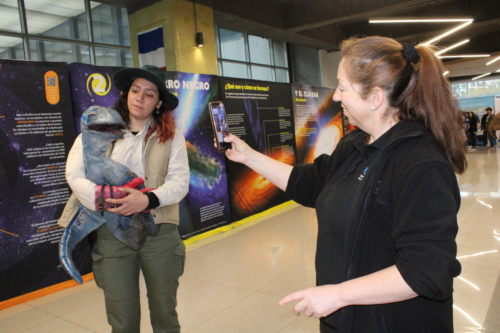 Festival de las Ciencias