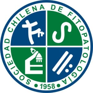 sochifit-logo