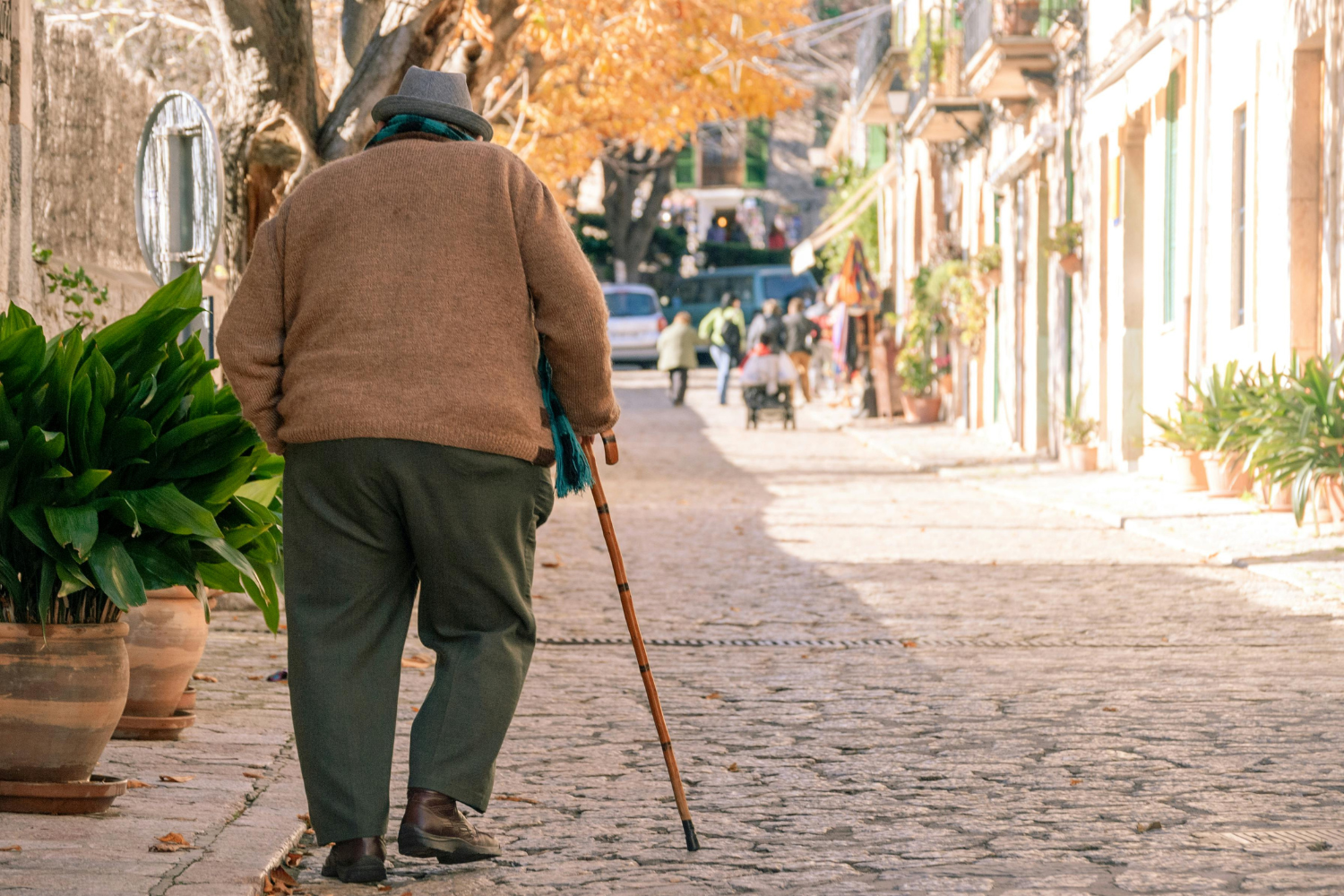 Adulto mayor - discapacidad en Chile