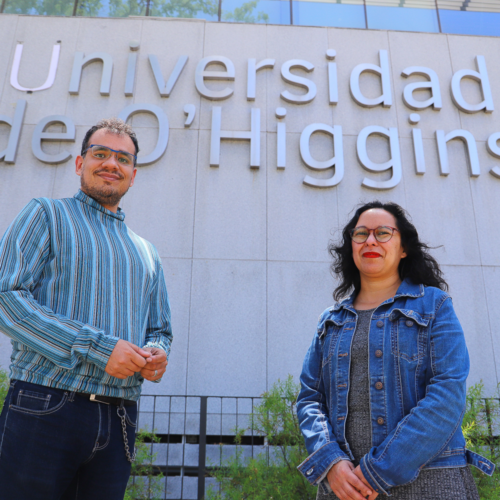 Académico y docente UOH serán parte del Comité Directivo Local del nuevo SLEP Valle Cachapoal