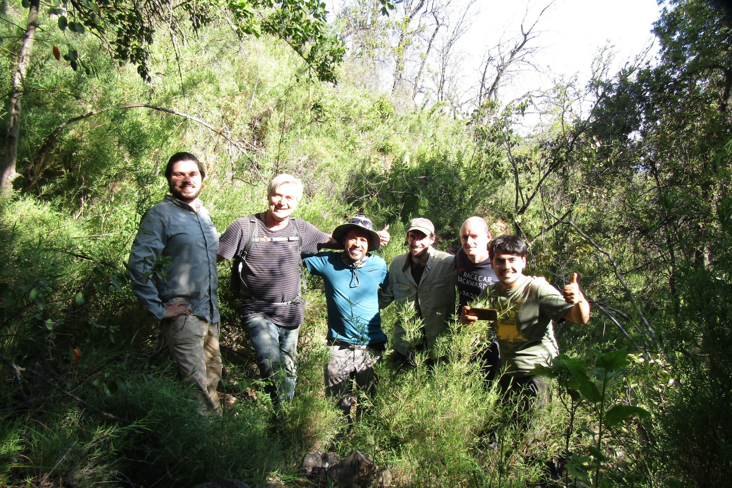 Investigadores motalidad de bosques en Chile central