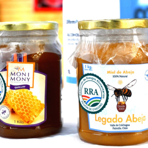 Productoras apícolas certifican sus productos con Sello RRA que otorga la UOH