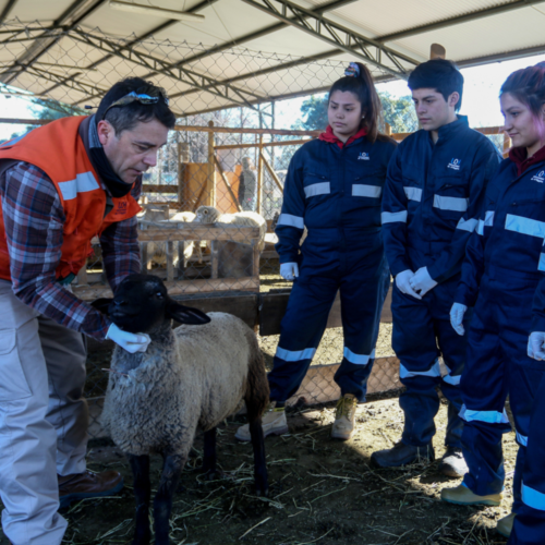ECA3: forjando profesionales para un futuro sustentable