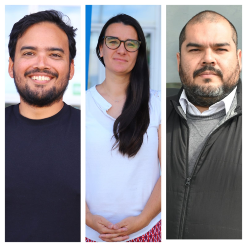 Miel en curación de heridas, microplásticos y reproducción de insectos: los temas de los proyectos Fondecyt del ICA3