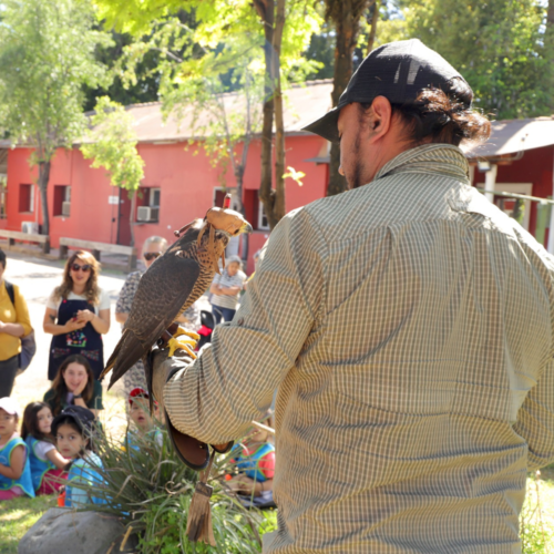 Niños y niñas del Jardín Los Tricahuitos aprendieron de fauna nativa en Hacienda Cauquenes