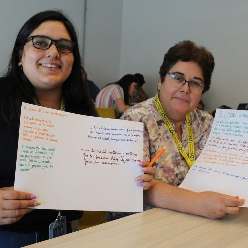 PACE UOH: profesionales ejecutores PACE se capacitan para brindar acompañamiento en enseñanza media