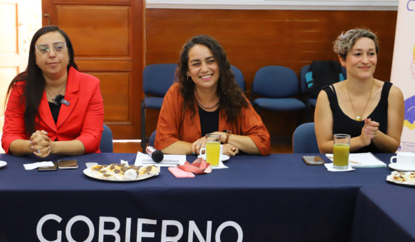 Programa Puntos de Cultura Comunitaria-2 Puntos de Cultura Comunitaria